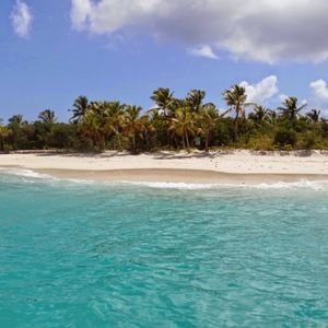 Meet your Posher, Rob